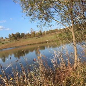 Meet your Posher, Bryanna